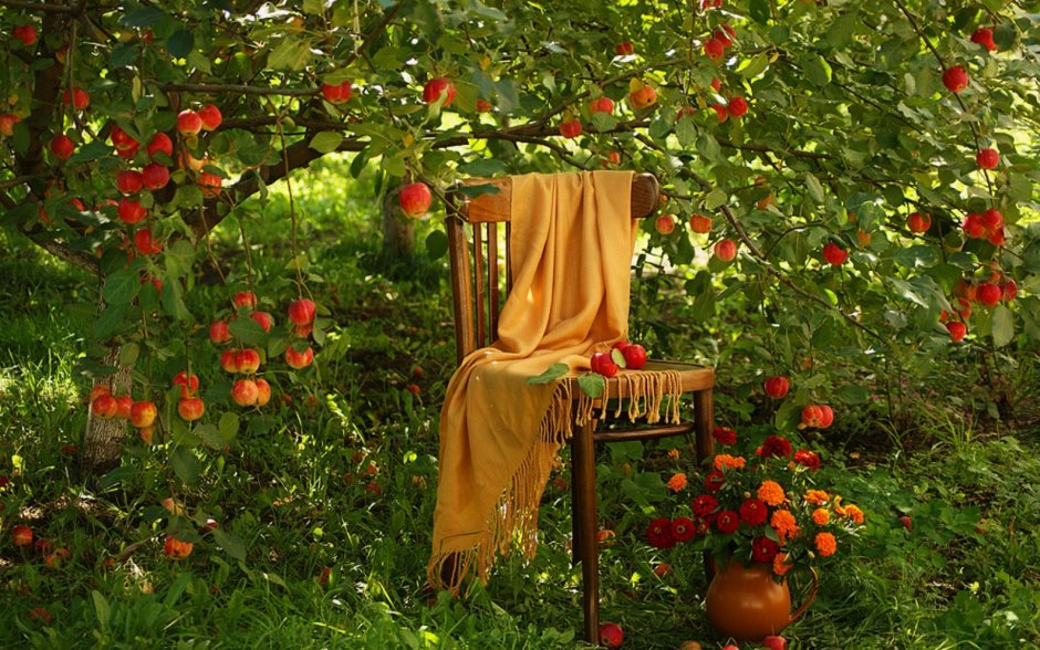 Яблочный двор