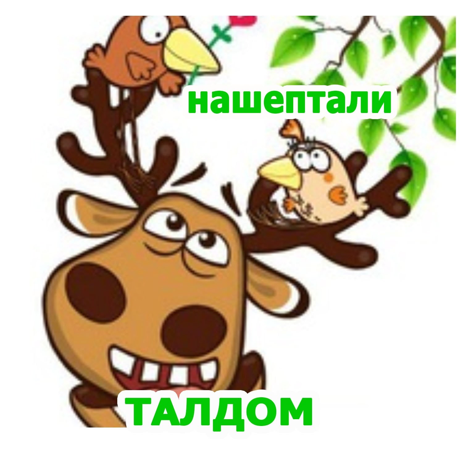 Подслушано талдом 11тыс. Подслушано Талдом. Подслушано Северный Талдомский. Подслушано Запрудня. Подслушивание Талдом.