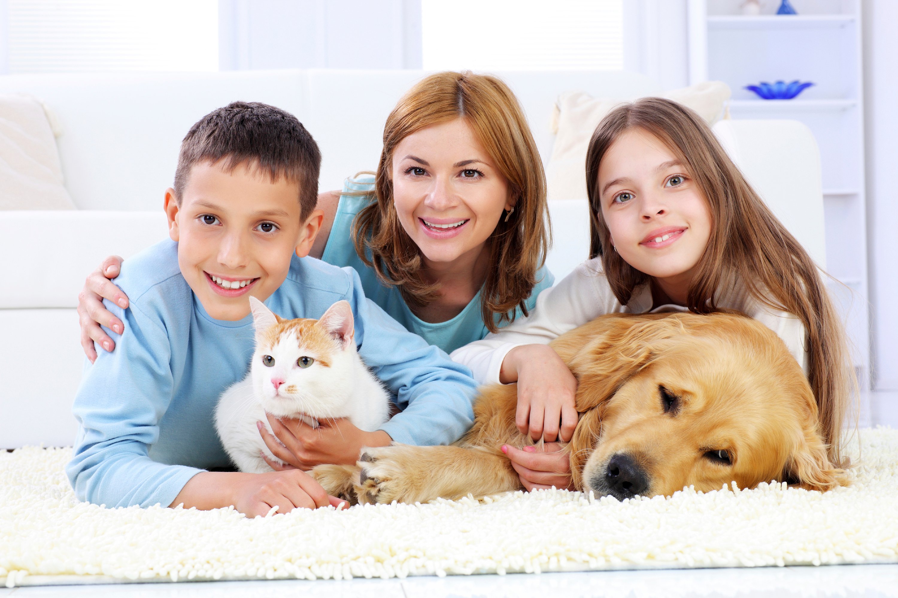 Дом счастливых кошек. Домашние животные для детей. Семья с собакой. Домашние животные и человек. Собака для детей.