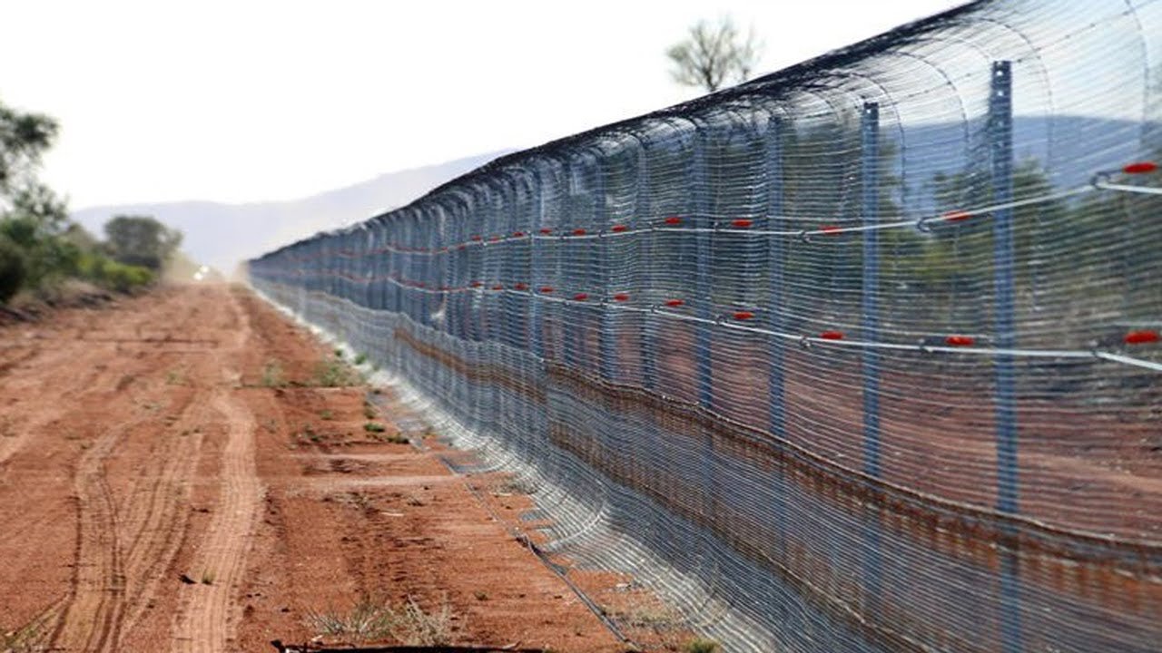 В изоляции австралия. Великий австралийский забор. Забор от кроликов в Австралии. Австралия забор секретный. Забор Динго в Австралии.