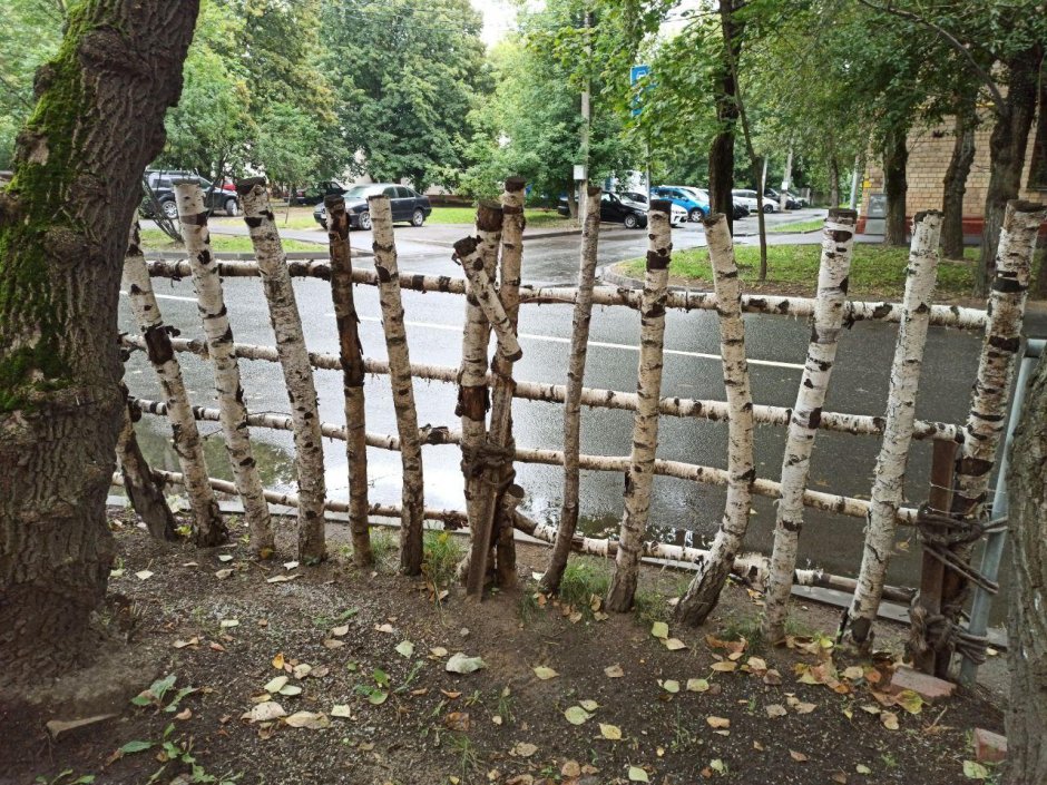 Забор Егерцаун