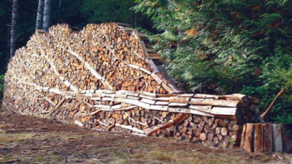 Забор из деревянных карандашей