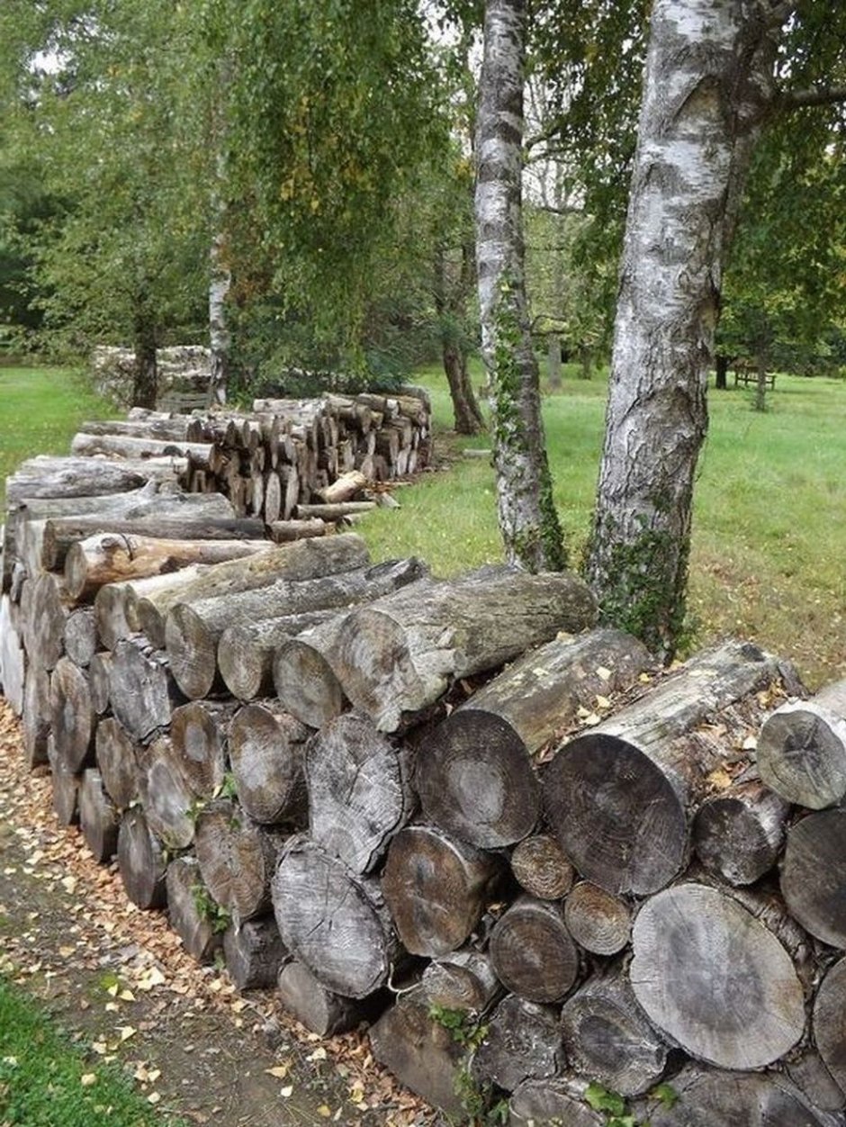 Забор из стволов деревьев