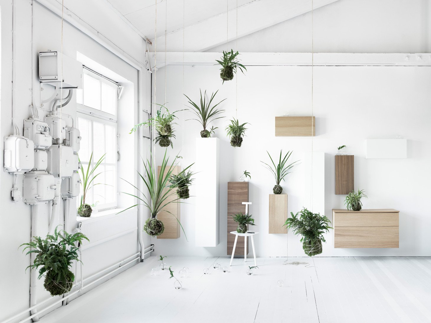 Plant room. Растения в интерьере. Комнатные растения в интерьере. Растения в интерьере Минимализм. Комната с растениями.