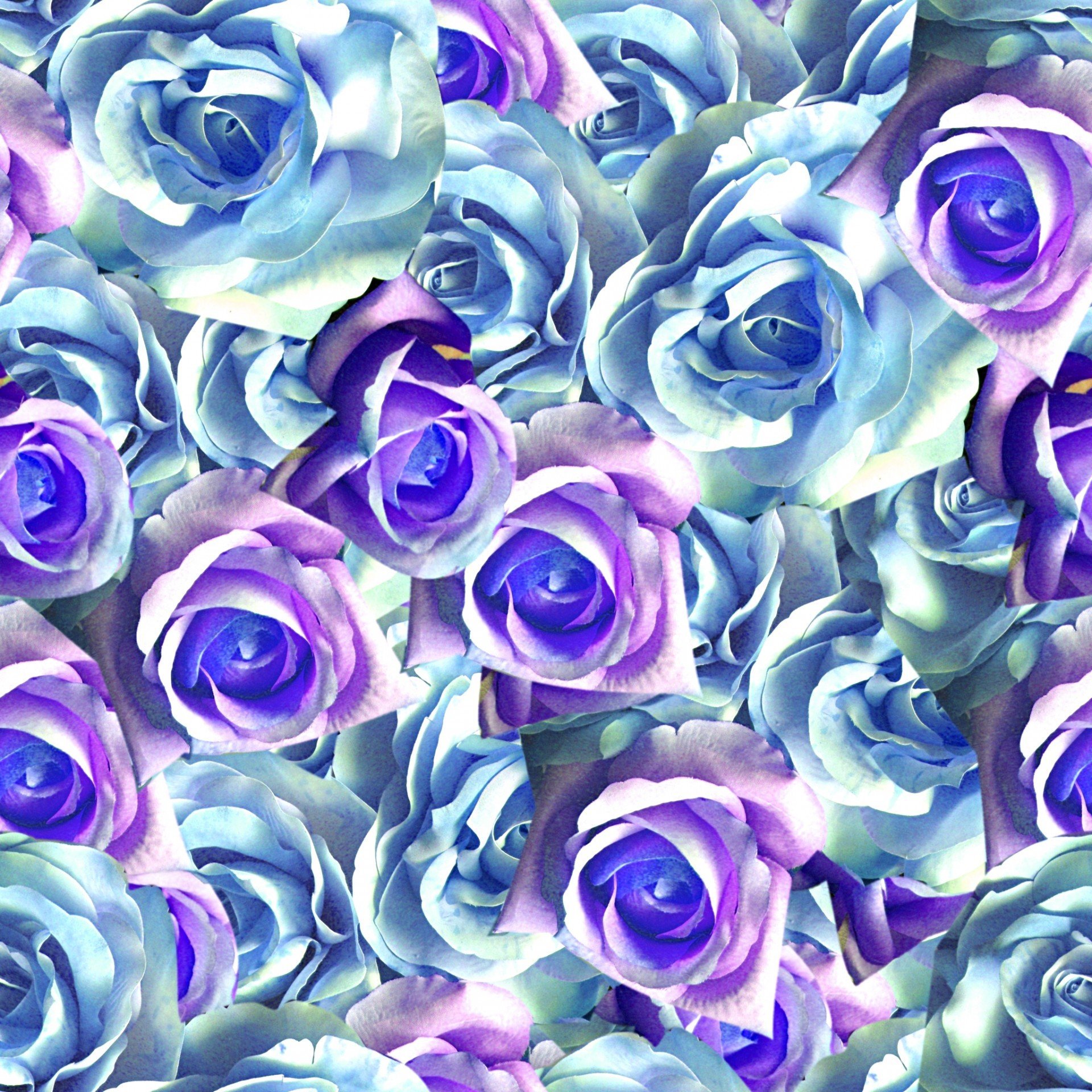 Розовый сиреневый синий. Фиолетовые цветы. Сиреневые цветы. Сине-сиреневые цветы. Сине фиолетовые цветы.