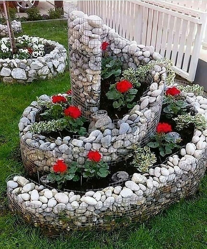 Моноклумба бархатцы