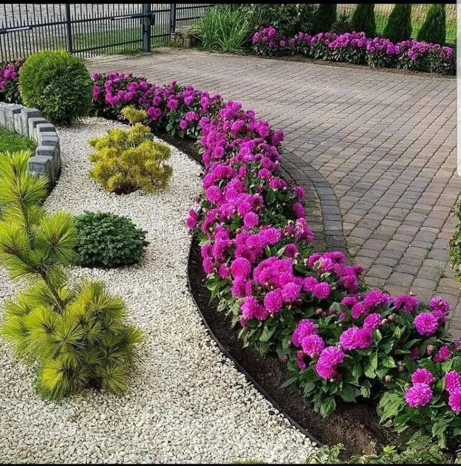 Клумба с бархатцами и петунией