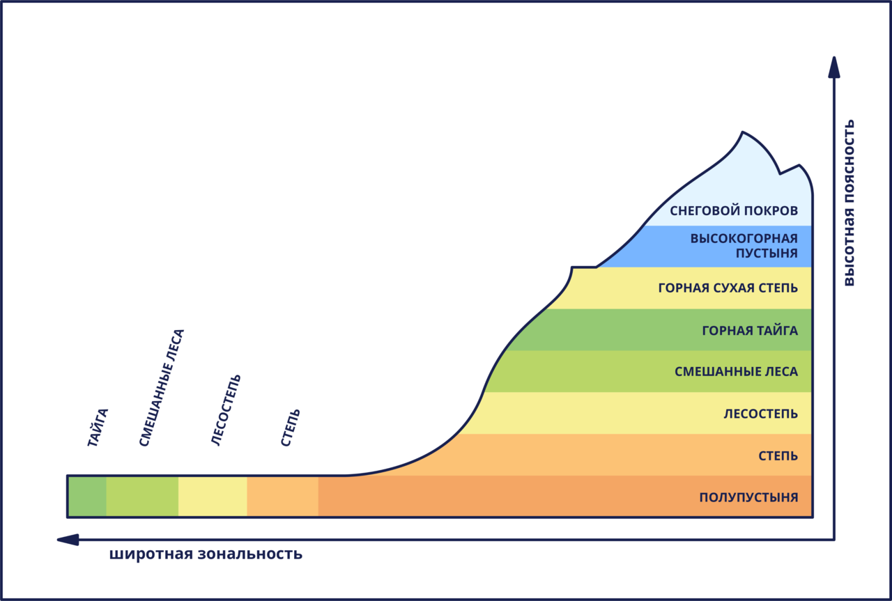 Широтная зональность и высотная поясность 7 класс. Широтная зональность и Высотная поясность.