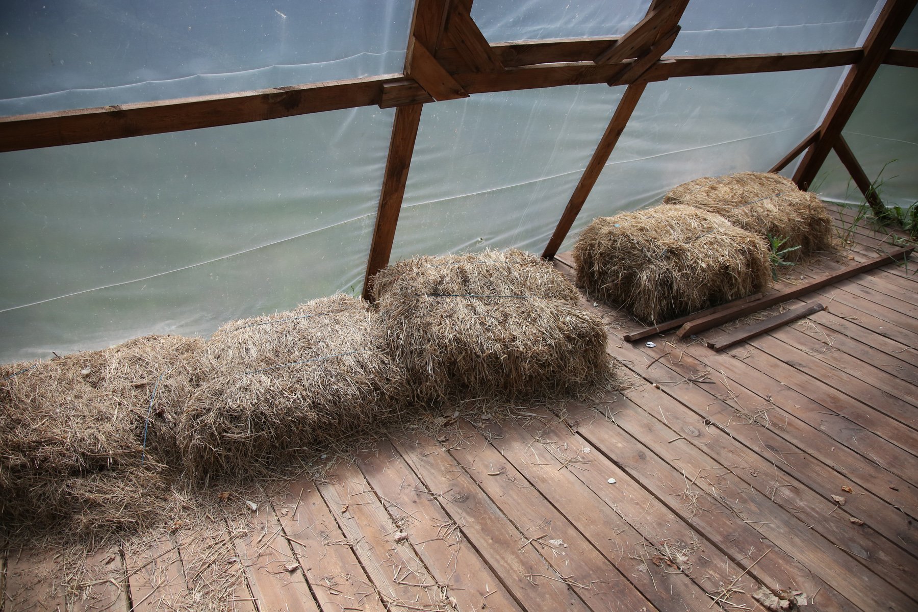 Приснилось сено. Сено (Клевер+люцерна) 1 тюк. Кровать из сена. Сено инсталляция. Подушка из сена.