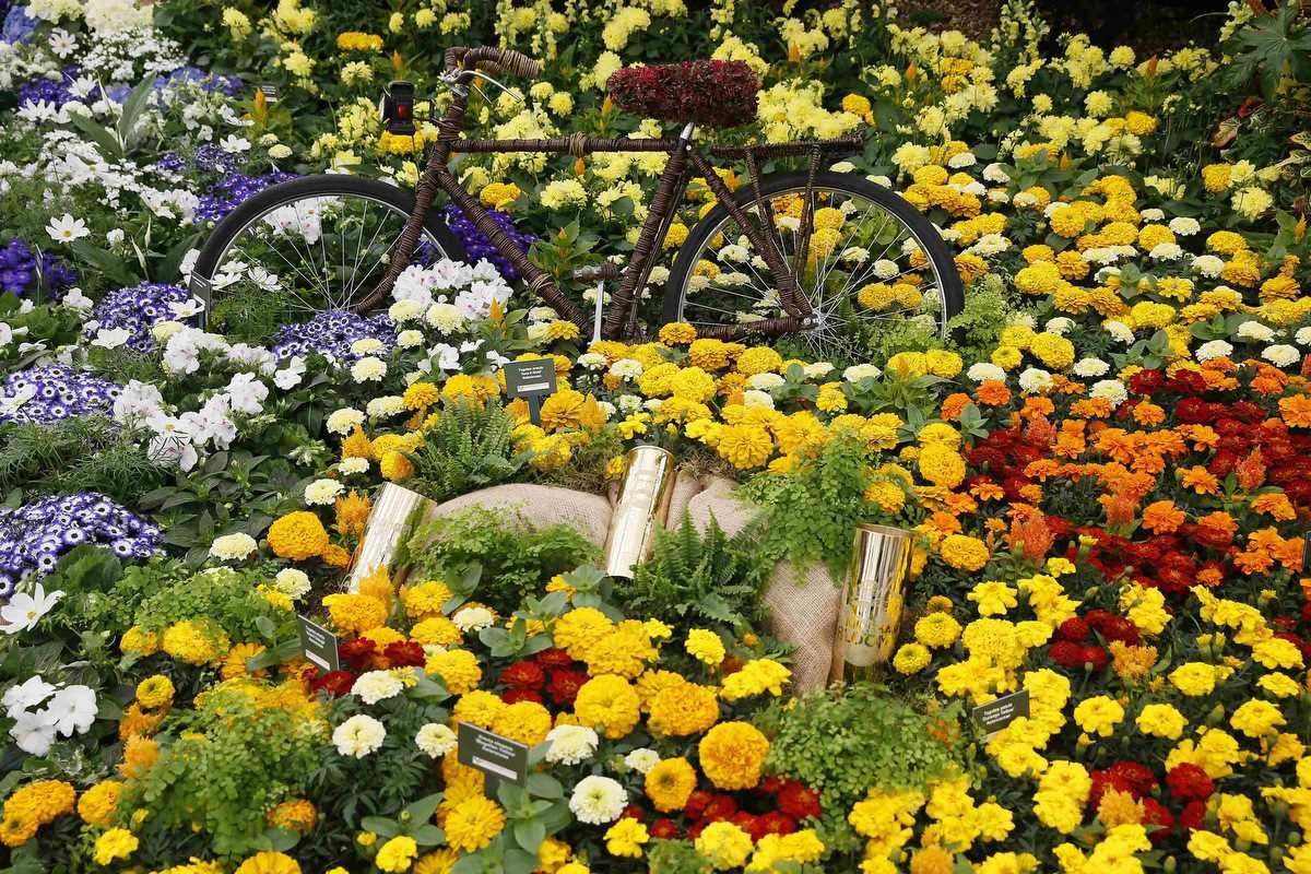 Ландшафтной выставке Chelsea Flower show,