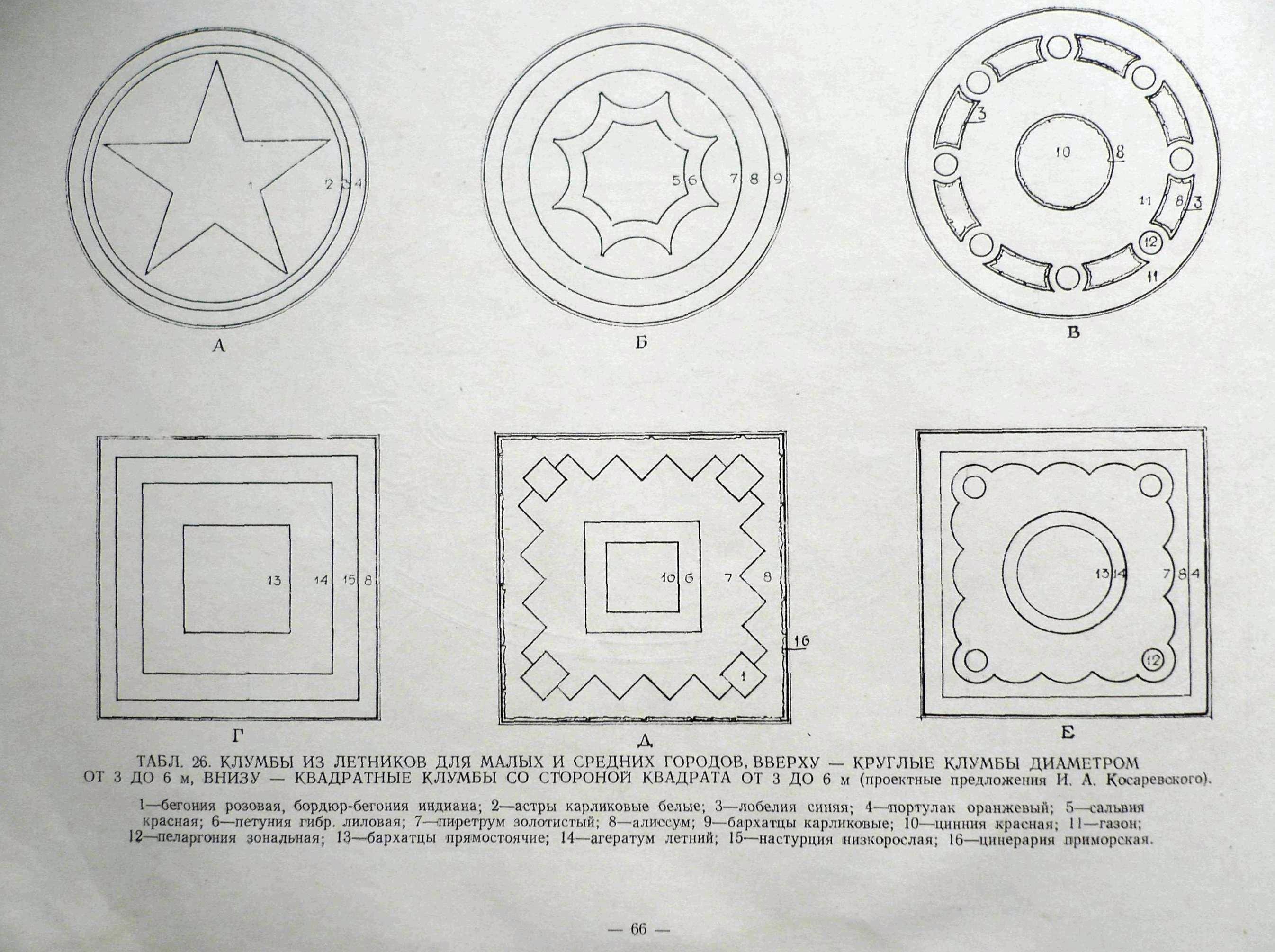 Цветник вид сверху рисунок