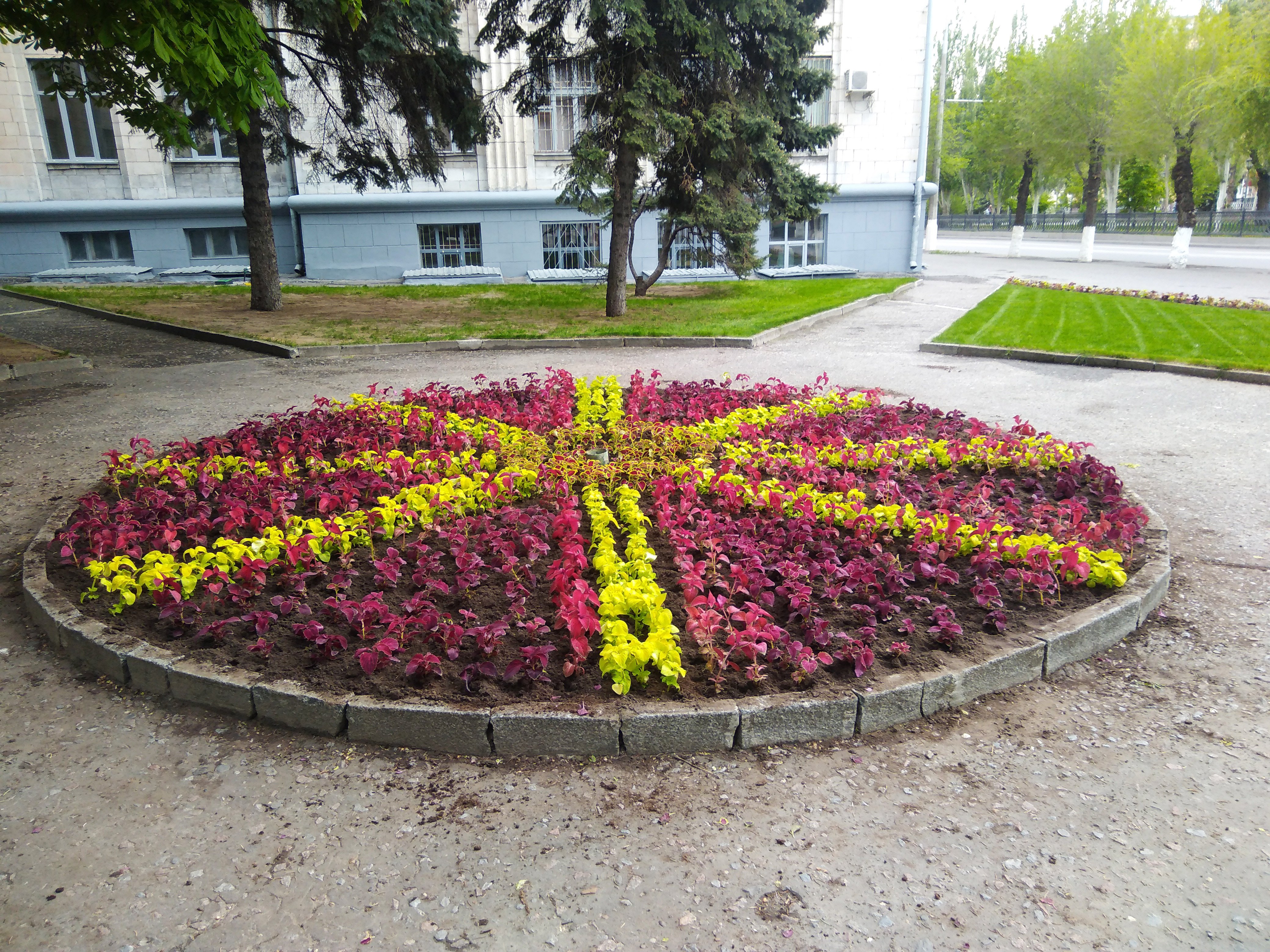 Городские клумбы фото