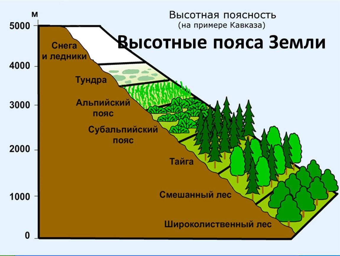 Типы ландшафтов суши фото 42