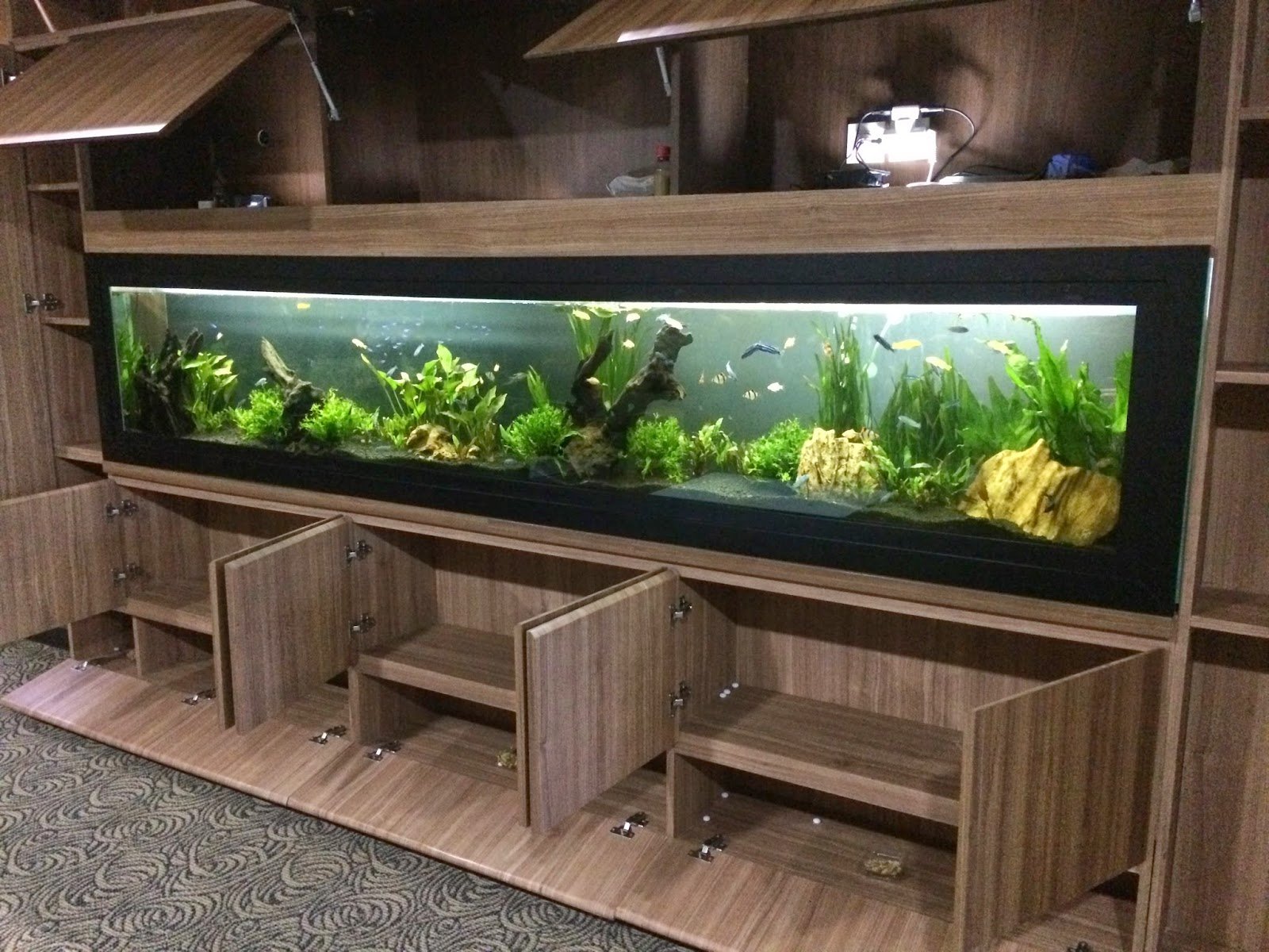 Длинный аквариум
