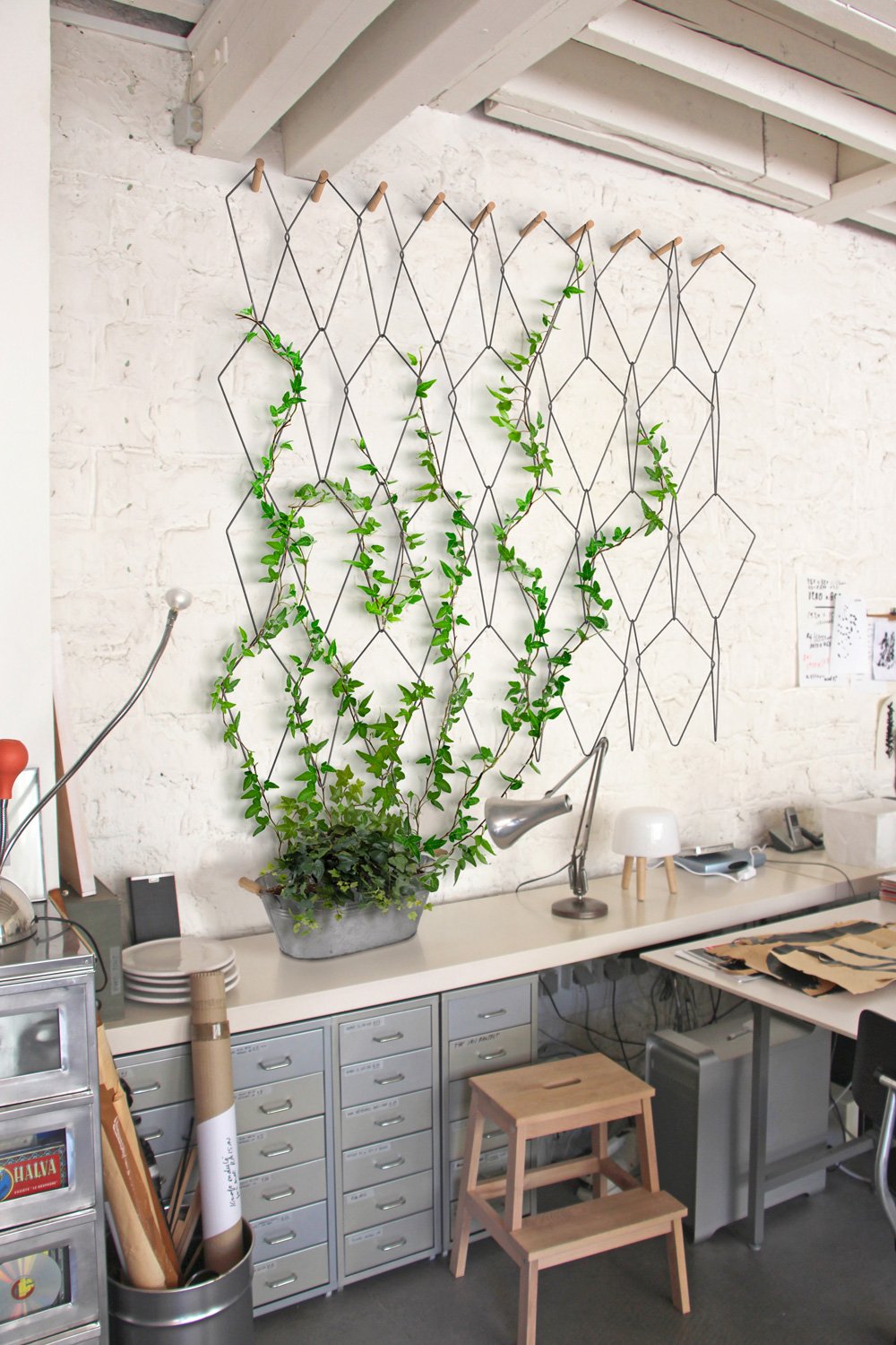 Плющ на кухне. Плющ Хедера в интерьере. Декор стены растениями. Вьющиеся растения на стене в интерьере. Комнатные цветы на стене.