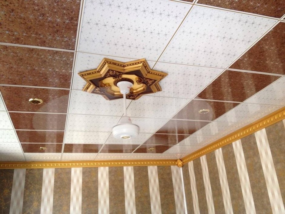 Пластиковый потолок