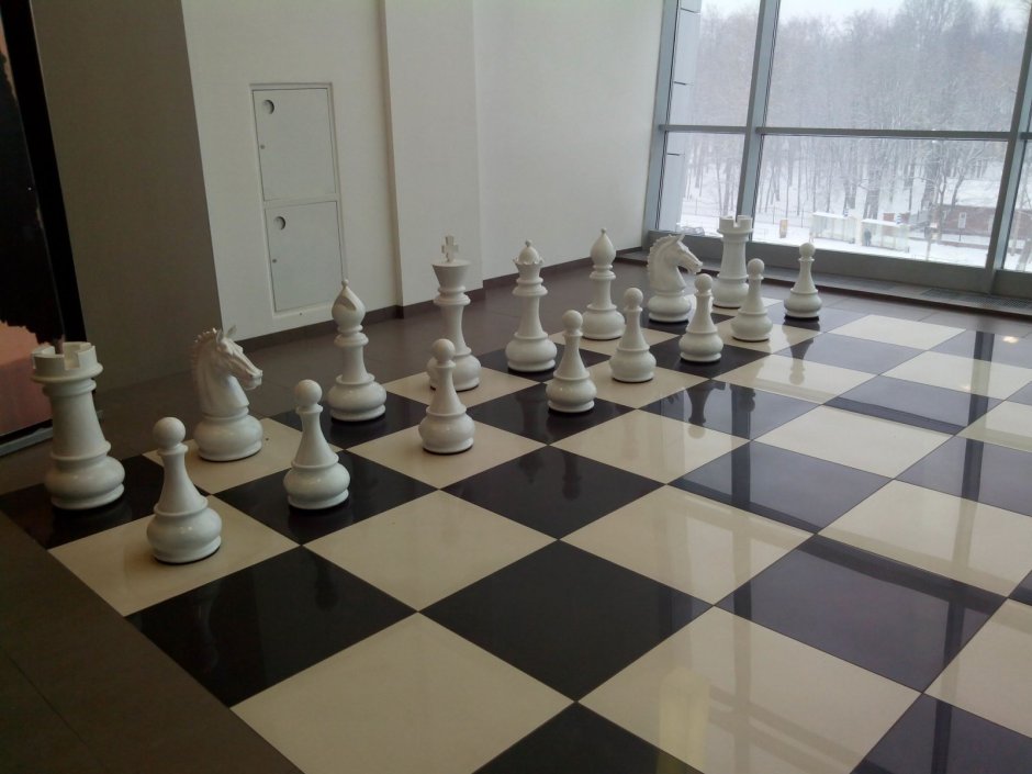 Линолеум шахматы