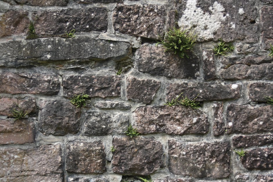 Нож генерал Stone Wall ( каменная стена)