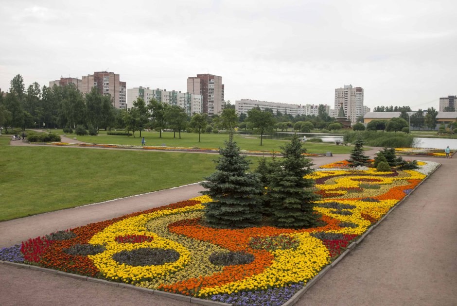 Сквер на Демьяна бедного парк цветов СПБ