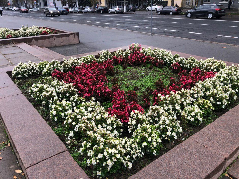 Клумбы Чебоксары