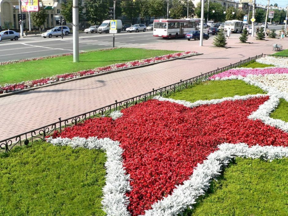 Городские клумбы