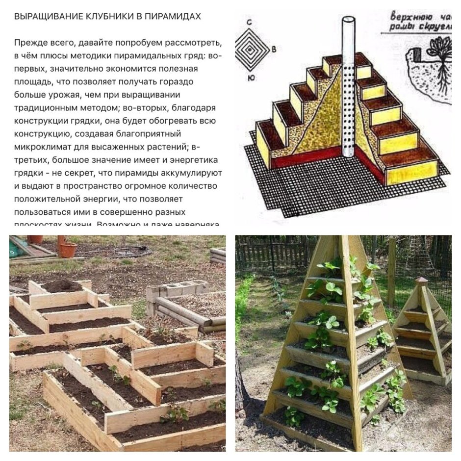 Выращивание клубники в пирамидах - как построить пирамиду самому