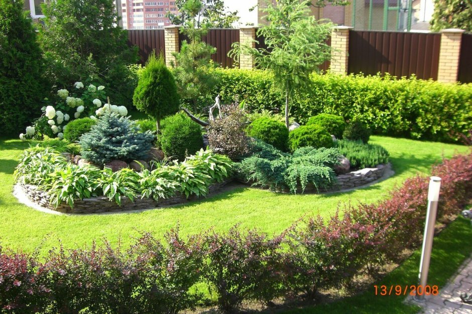Туя бересклет скумпия миксбордер