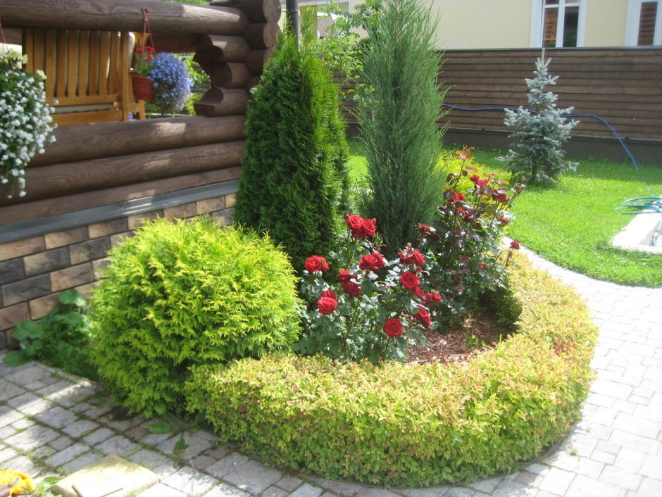 Рокарий хвойники хвойники