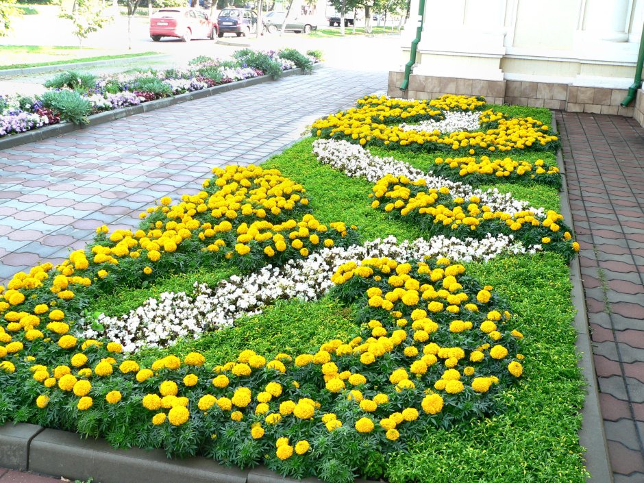 Петуния ампельная на террасе