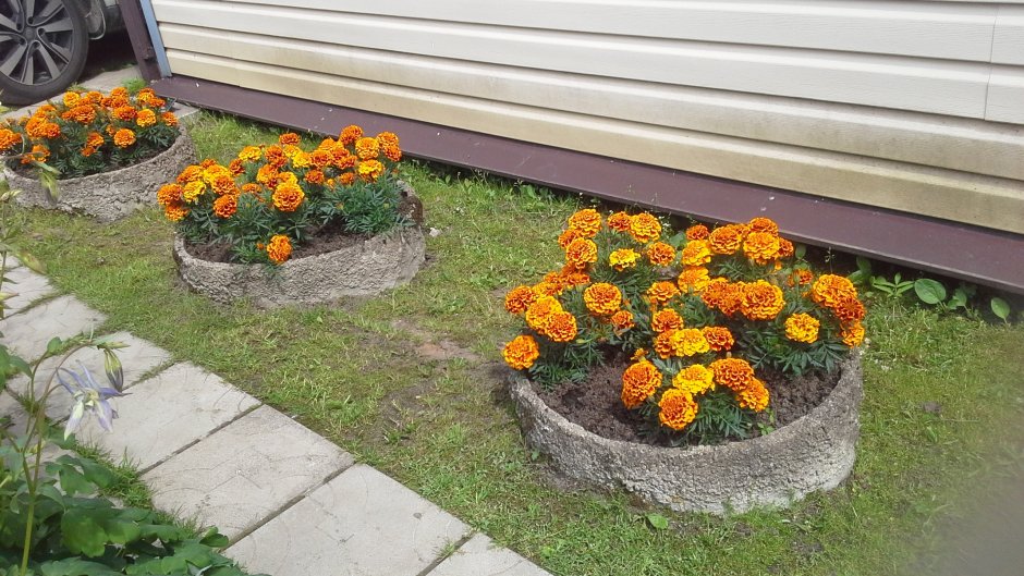Клумба горка Альпийская петунья