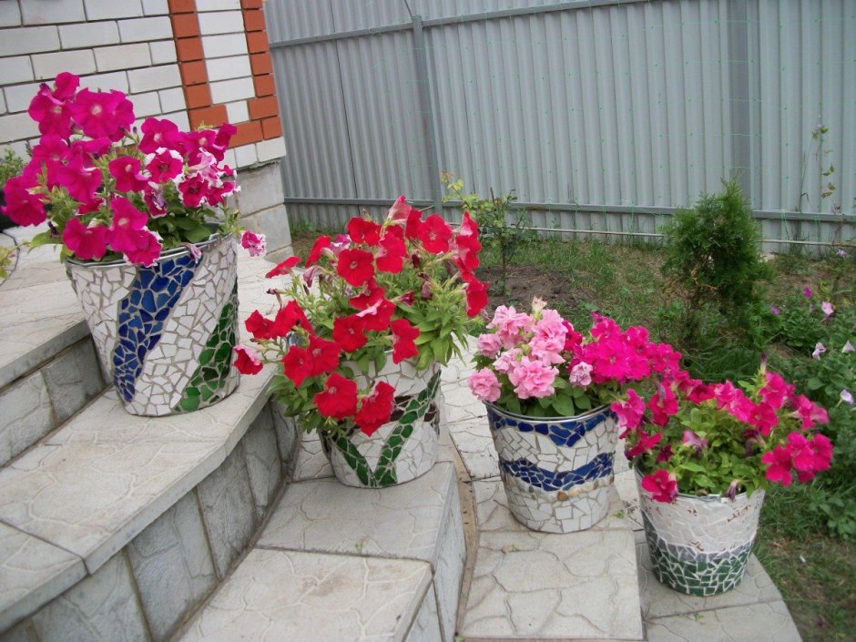 Рабатка цветник