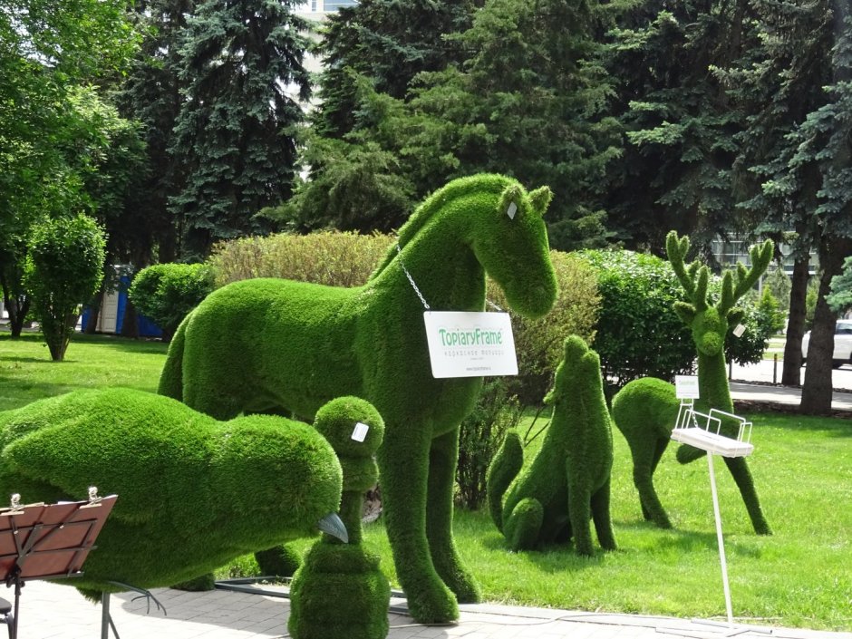 Топиарная корона Царицыно