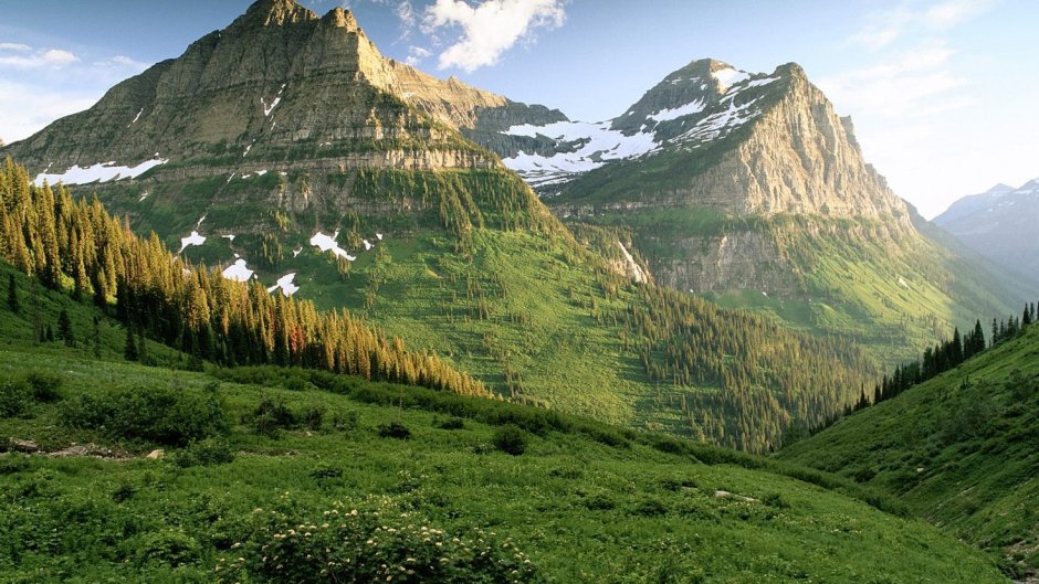 Наиболее разнообразны ландшафты высотной поясности в горах