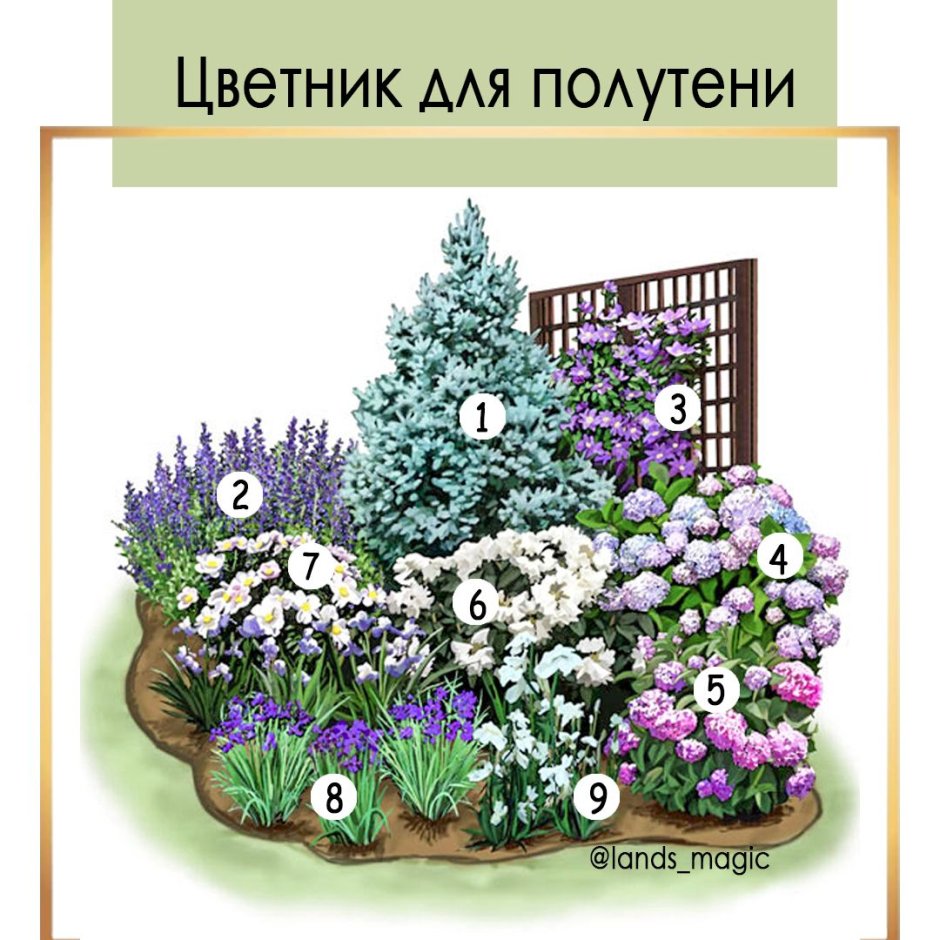Клумбы миксбордеры непрерывного цветения