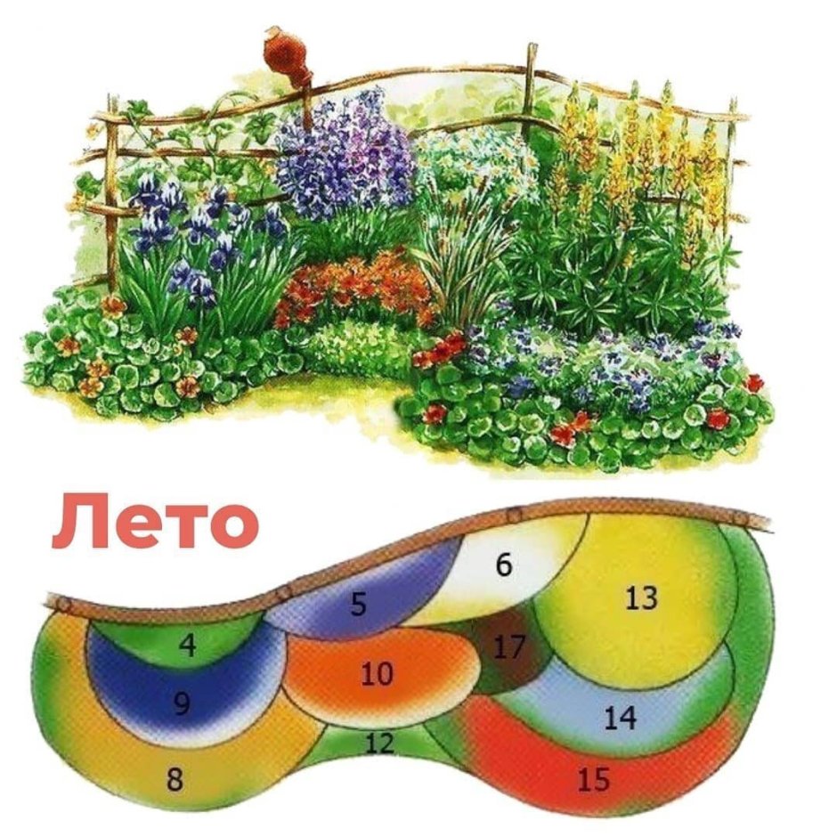 Рабатка цветник