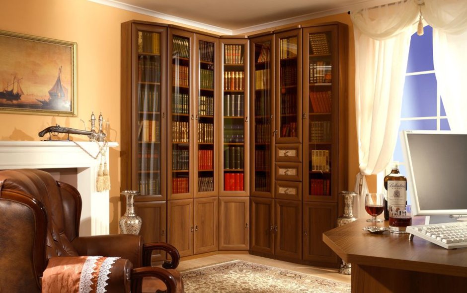 Книжный шкаф библиограф