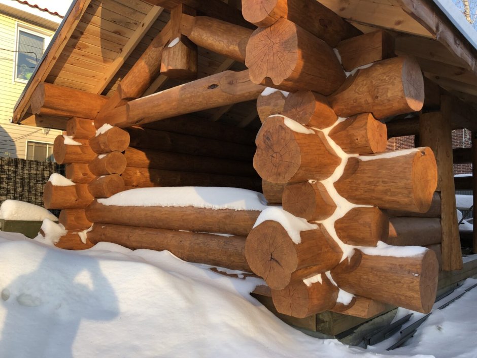 Сборка бани из бревна