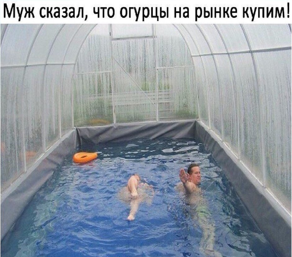 Бассейн в теплице