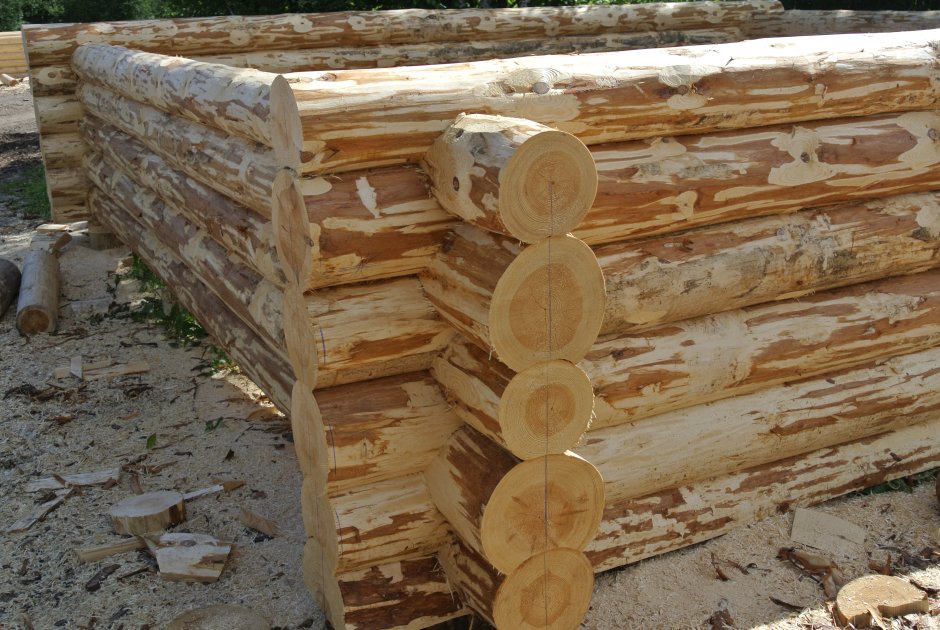 Интерьеер бане из бревна