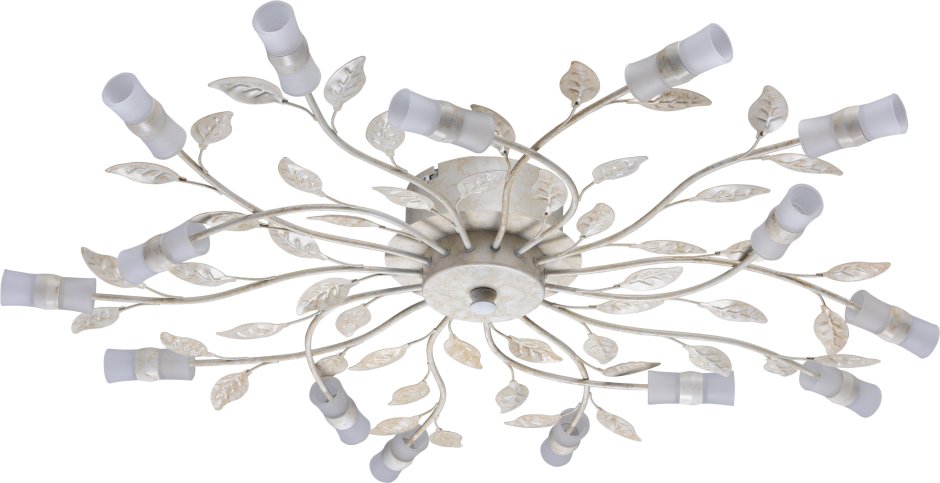 Evoluce Verona sle106602-06