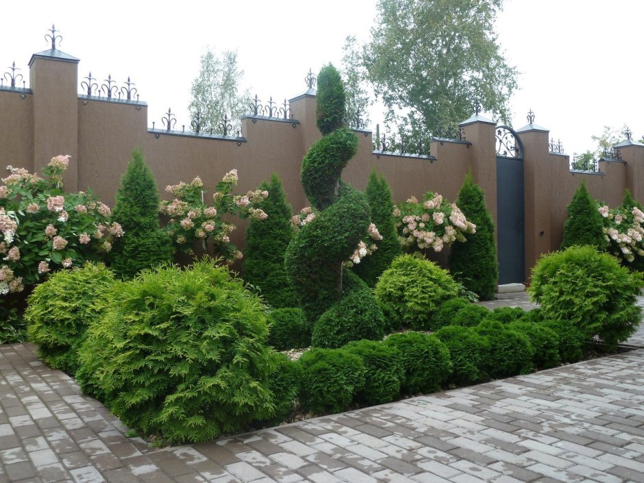 Живая изгородь палисадника