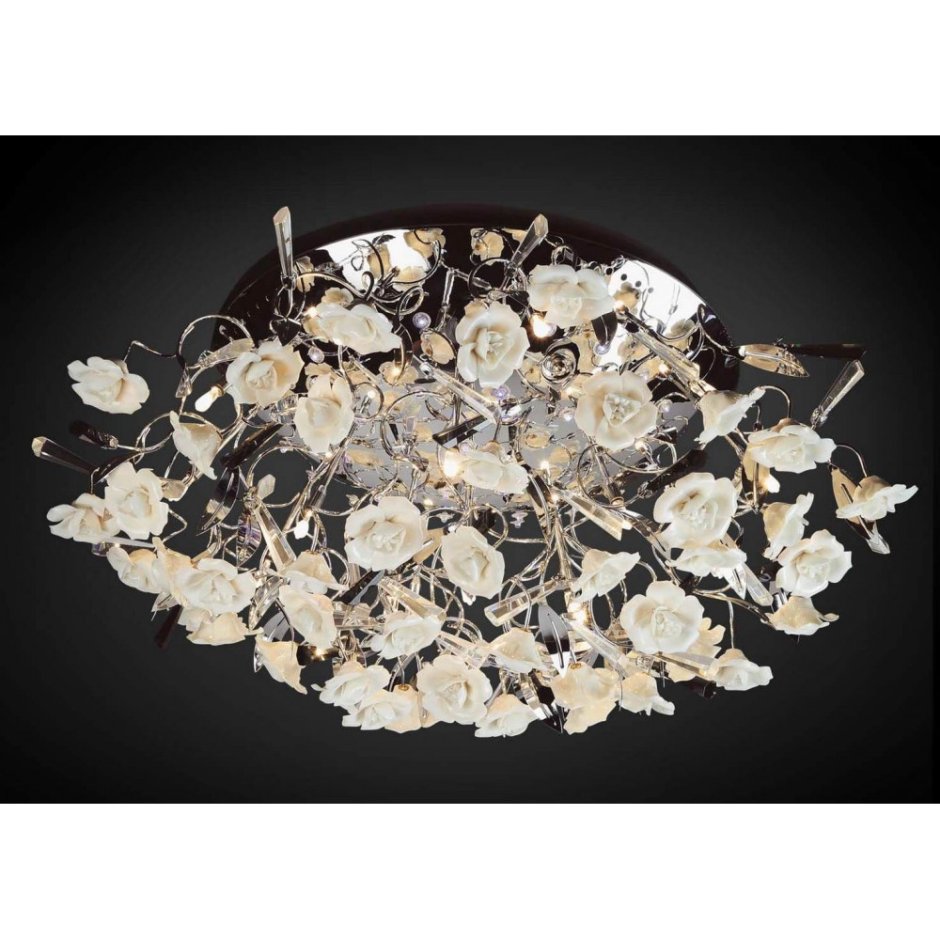 Потолочная люстра Odeon Light Oxonia 2585/5