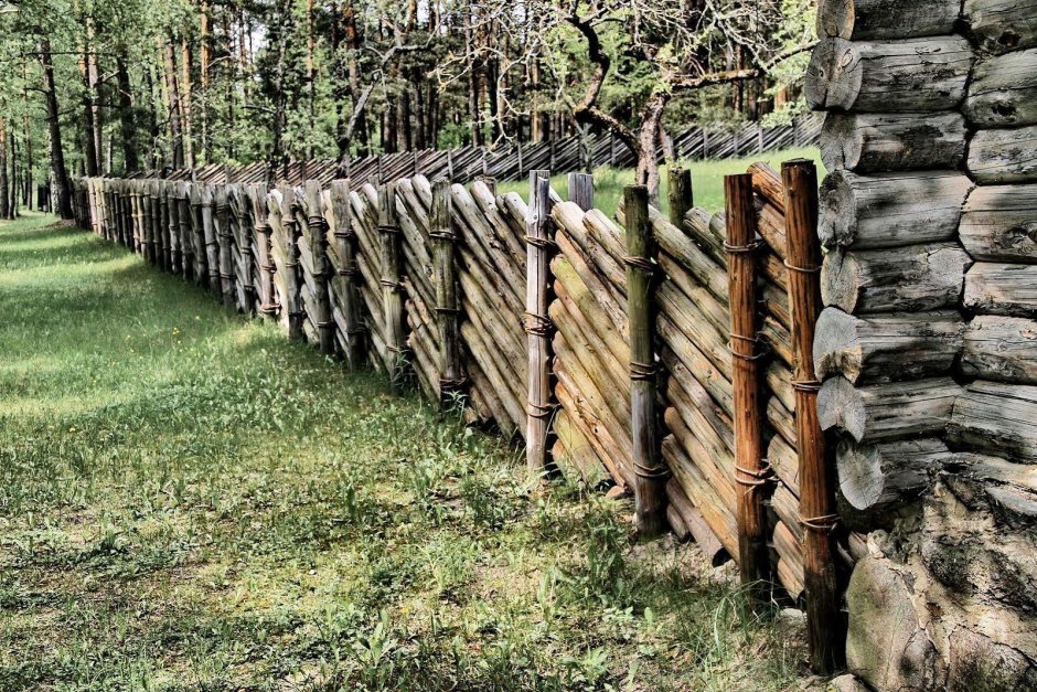 Горизонт шахматка забор
