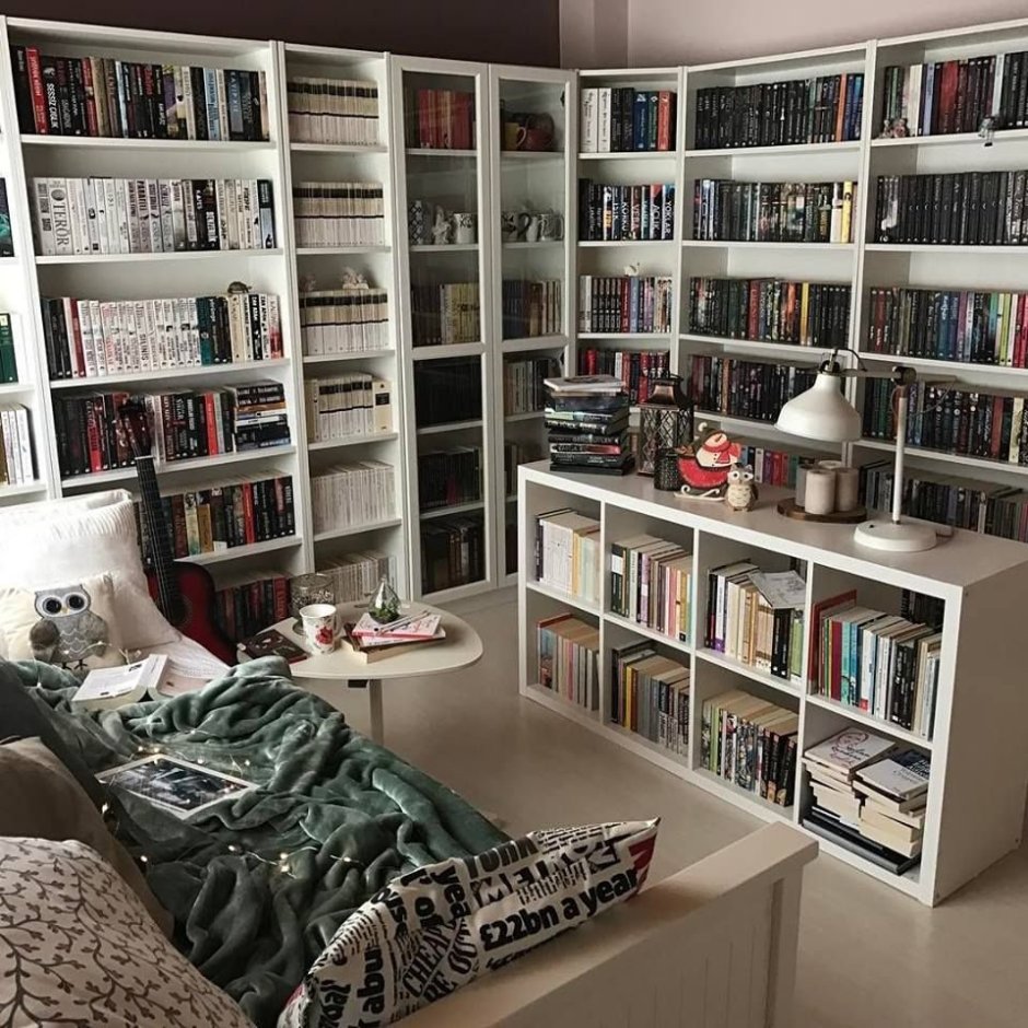 Книжные полки с книгами