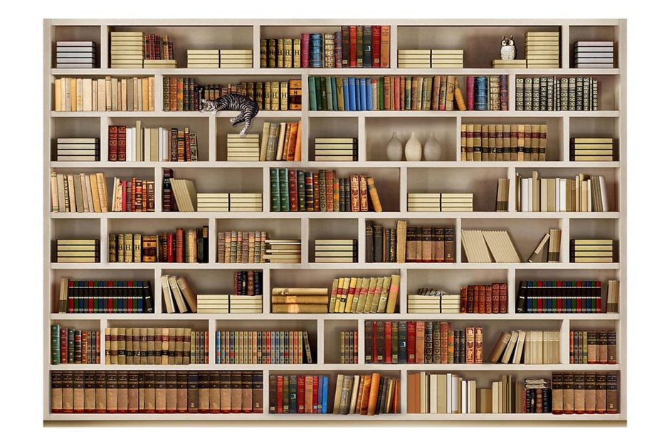 Длинные книжные полки