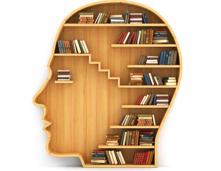 Книжные полки клипарт
