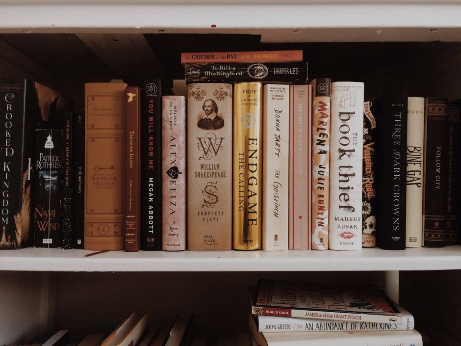 Книжные полки Эстетика