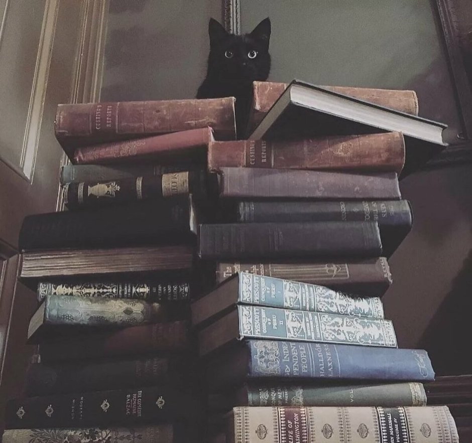 Книжная Эстетика
