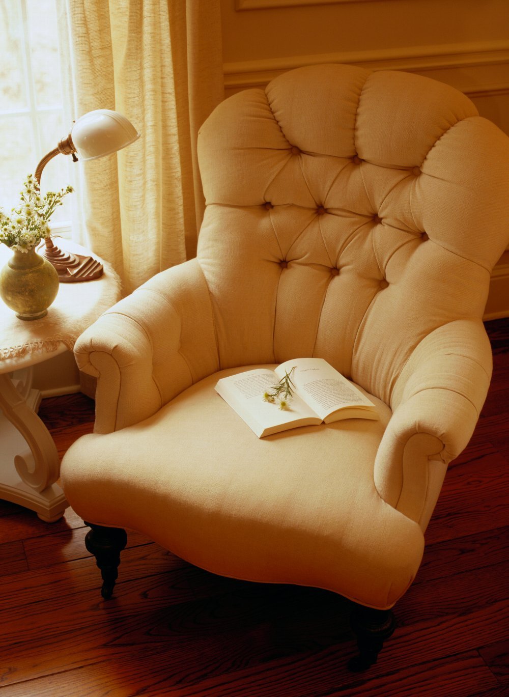 Кресло домашнее. Удобное кресло. Уютное кресло. Кресла мягкие. Удобное мягкое кресло.