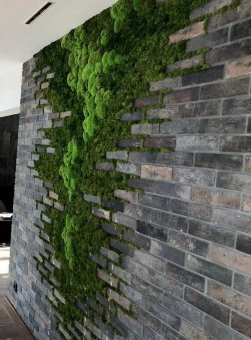 Мох в интерьере